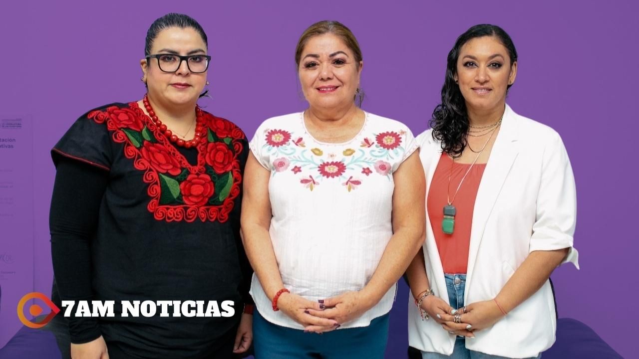 Eligen a dos académicas para trabajar en Alerta de Violencia de Género en Colima