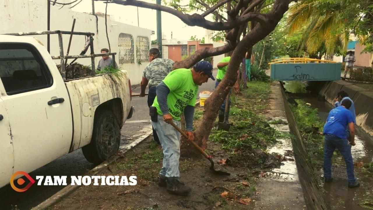 Ayuntamiento de Manzanillo ha retirado cerca de 60 mil toneladas en trabajos de desazolve