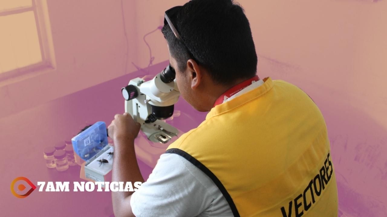 Dengue se mantiene estable en Colima, con 5 casos al mes: Salud