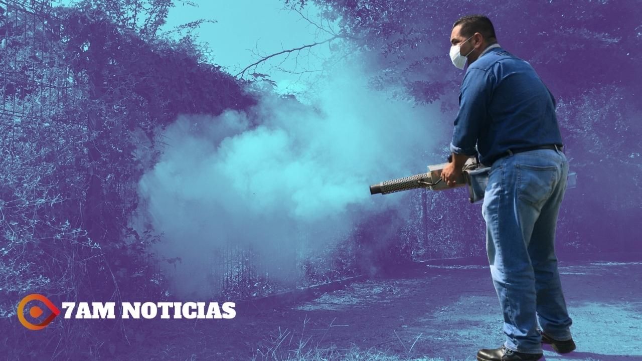 Colima se mantiene sin decesos por dengue y con casos a la baja: Salud