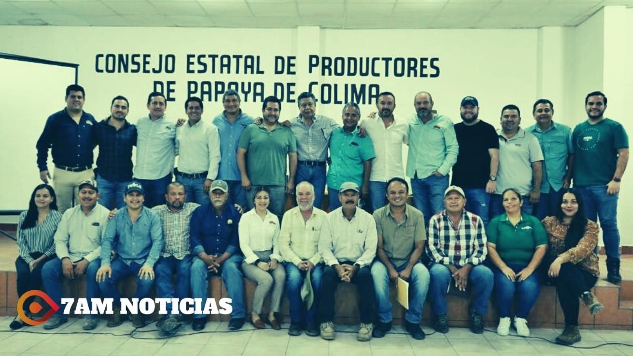 Coepapaya busca fortalecer la producción de papaya en Colima