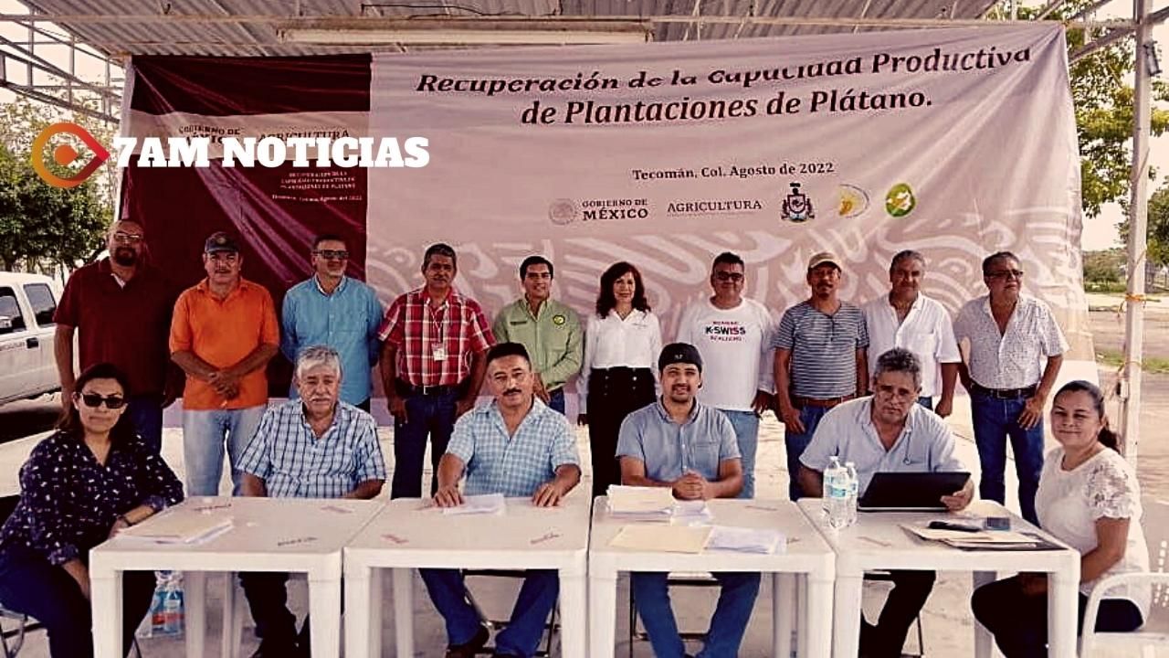 La Secretaría de Agricultura y Desarrollo Rural, entregó fertilizante a productores de plátano de Colima, en Tecomán.
