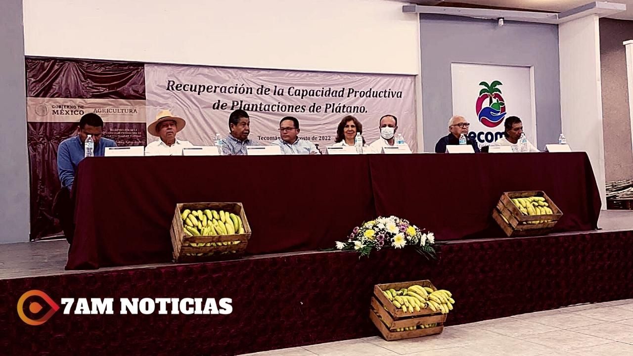 Entrega Agricultura cartas de autorización de apoyo a productores de plátano de Colima