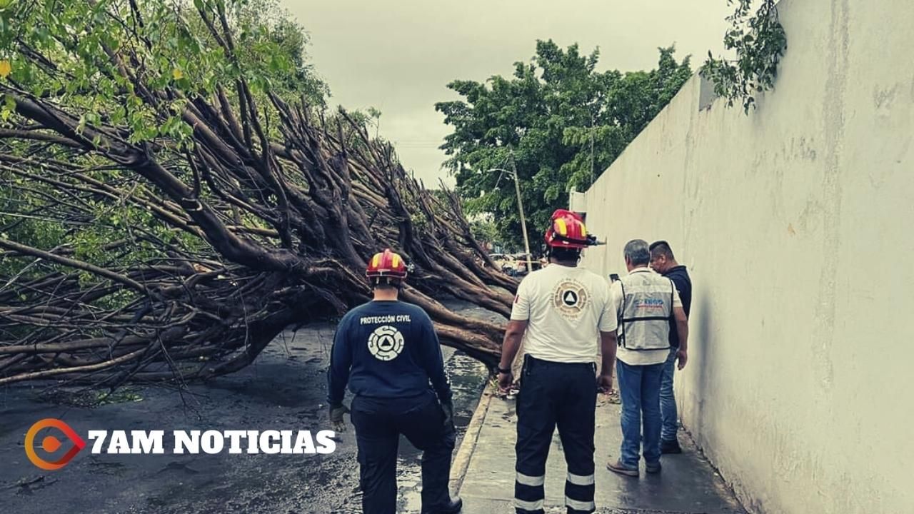 Protección Civil: Sólo afectaciones y daños materiales dejó la tormenta del viernes; no hubo reporte de personas fallecidas