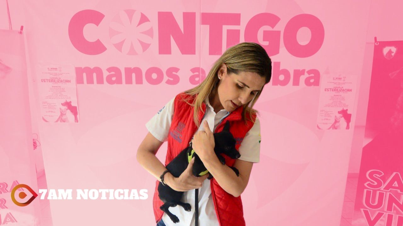 248 mascotas adoptadas durante administración de Margarita Moreno
