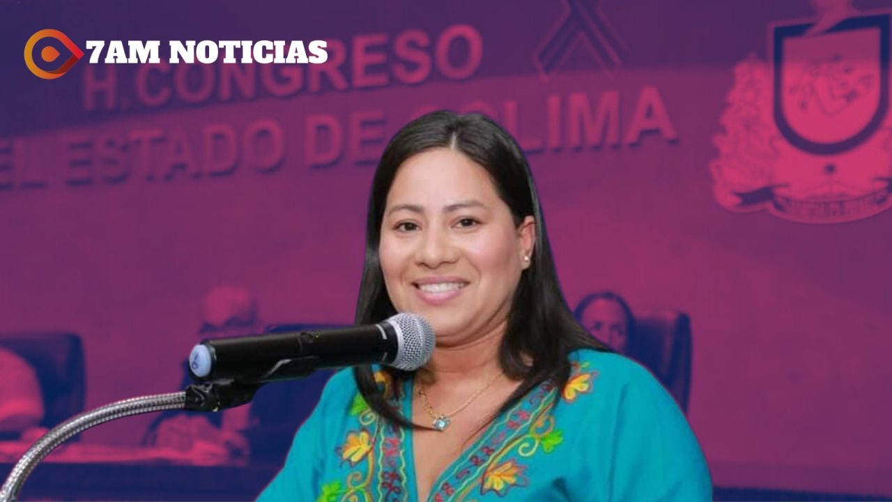Se avanza en materia de discapacidad, ante rezago histórico que sufría este sector en anteriores gobiernos: Ana Karen Hernández