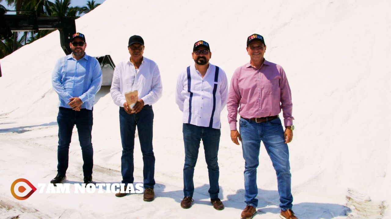 Sal de Colima tiene calidad para impactar mercado nacional e internacional