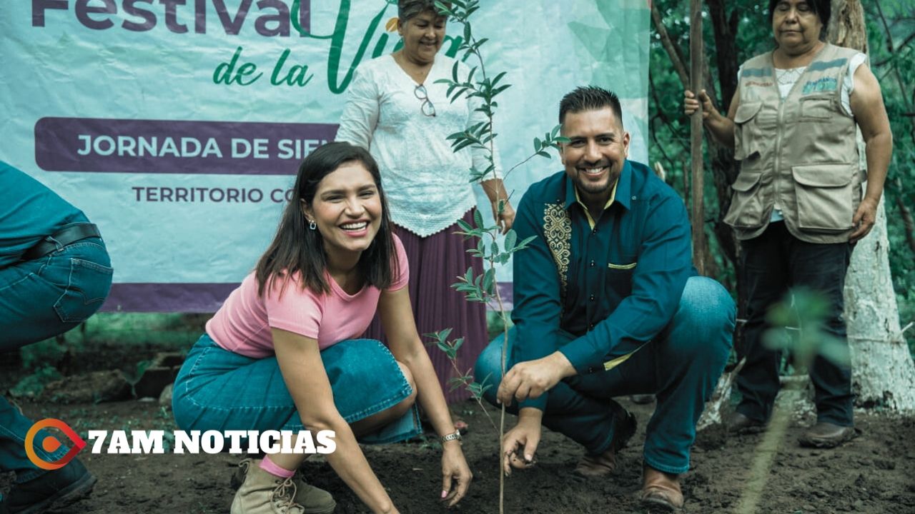 Más de 3 millones de árboles plantarán beneficiarios de Sembrando Vida en este temporal: Viridiana Valencia