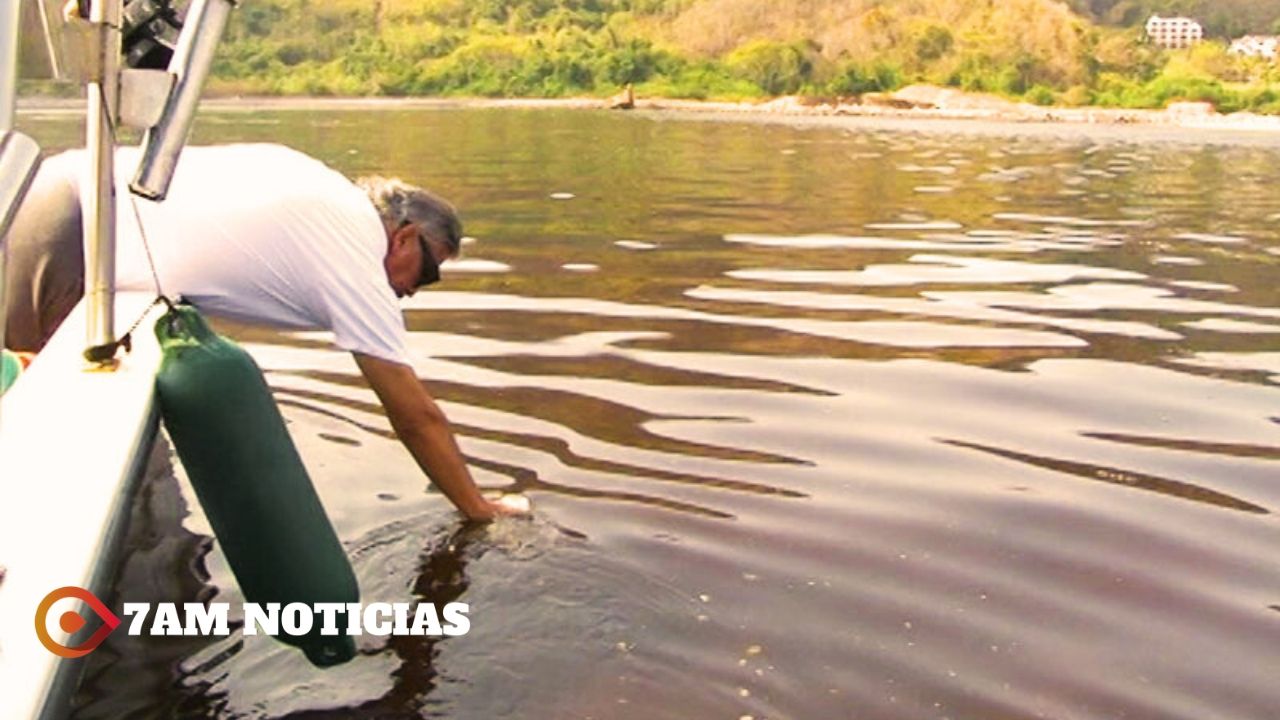 Continúa marea roja no tóxica en Manzanillo, no hay riesgo por contacto con el agua de mar