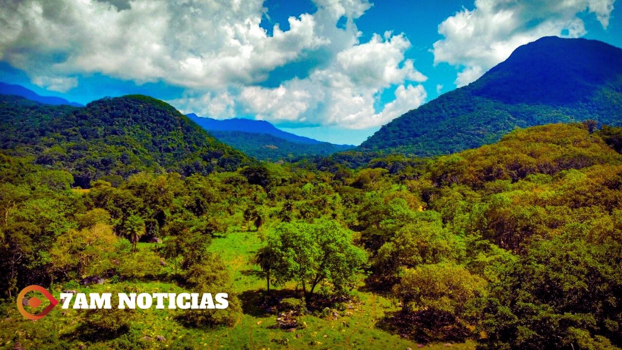 Canoas en Colima, es declarada nueva Área Natural Protegida Federal