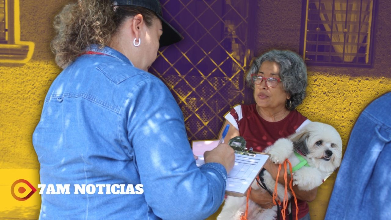 Salud Colima instala 42 puestos fijos de vacunación antirrábica gratuita