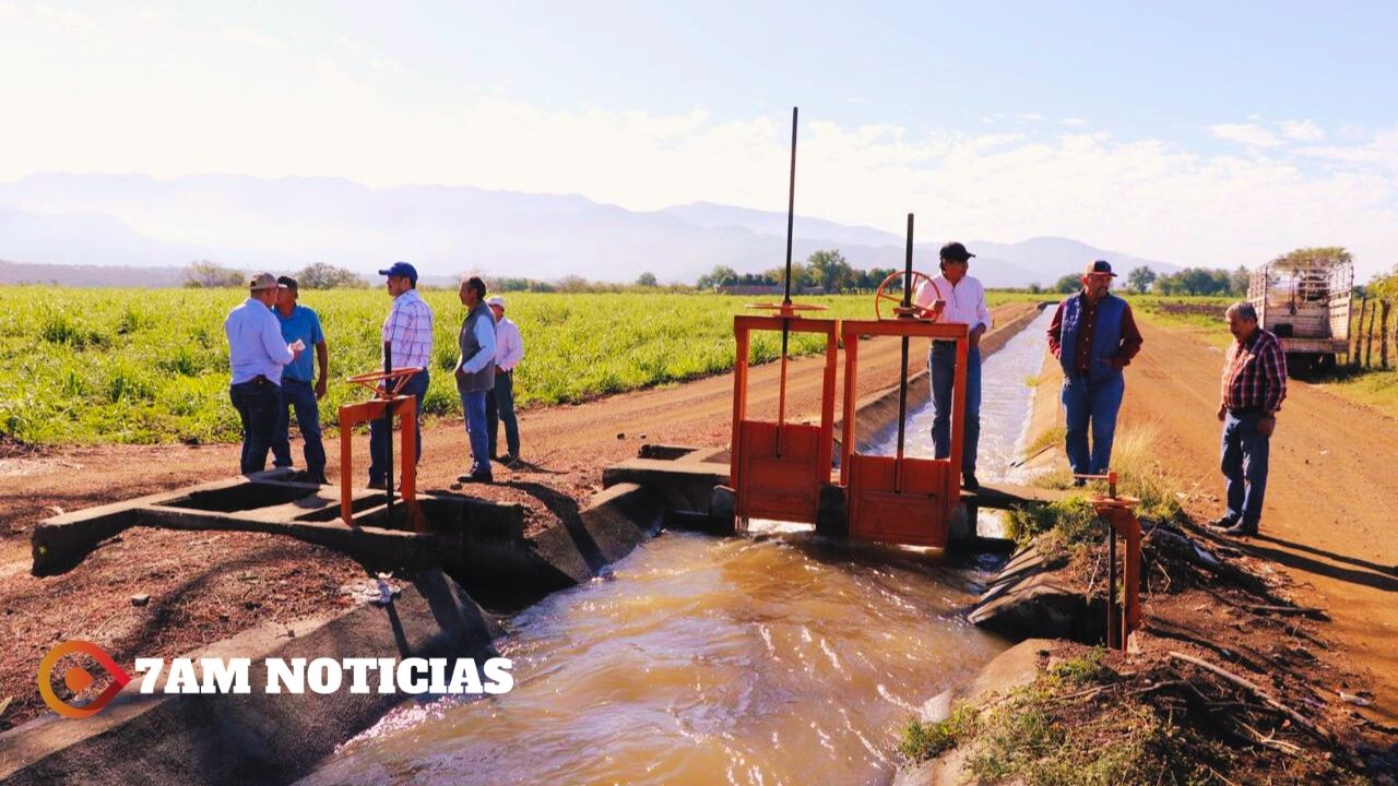 Se aplicará riego por goteo en producción de caña de azúcar: Subseder Colima