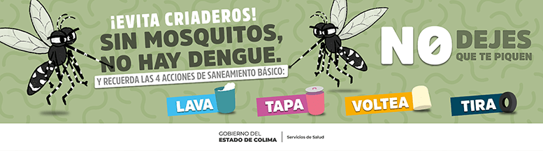 Gobierno del Estado de Colima - Campaña contra el Dengue - Banner