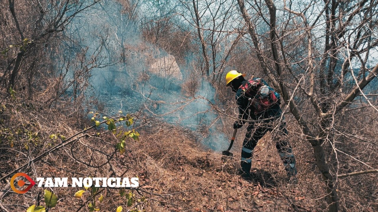 Controlados al 80% incendios forestales en el Cerro del Toro, en Manzanillo