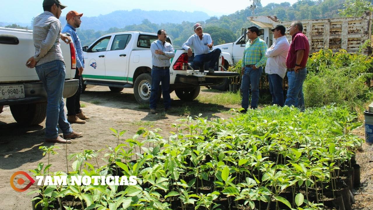 Gobierno Colima invita a emprendedorx o empresarix a participar en la ExpoOrgullo 2024