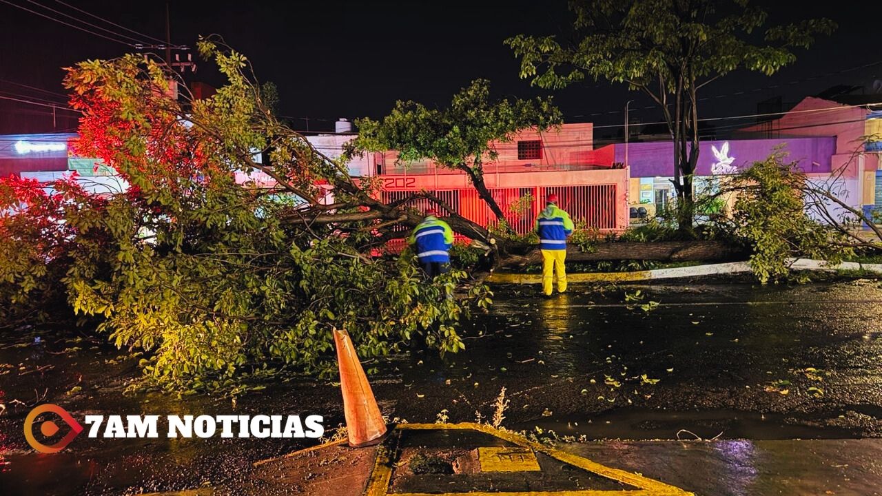 UEPC Colima exhorta a la población a reforzar la prevención en temporal de lluvias