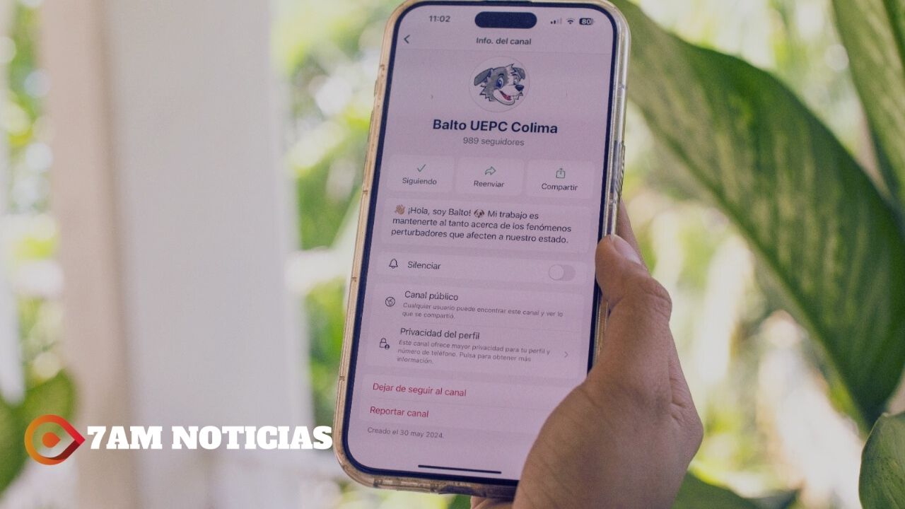 Canal de difusión de ‘Balto’ en WhatsApp, también alerta accidentes viales en autopistas de Colima