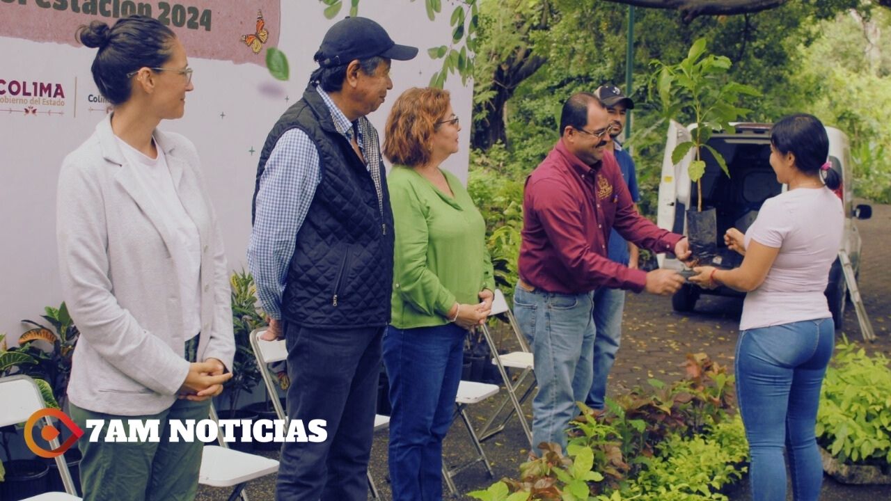 Gobierno Colima inició campaña de donación de plantas de café y arboles forestales