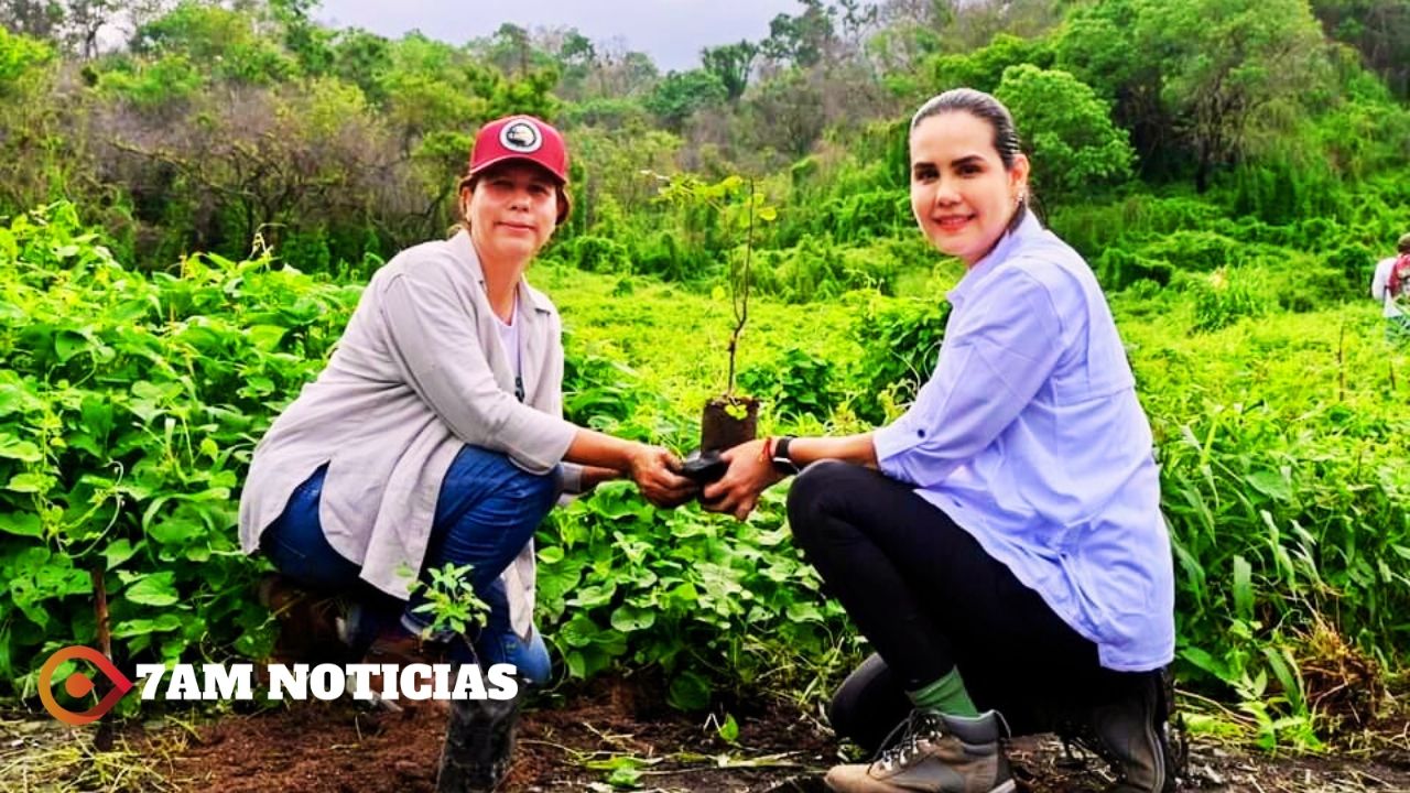 Se logró la meta de plantar 10 mil árboles en el Cerro del Toro: Rocío Beltrán