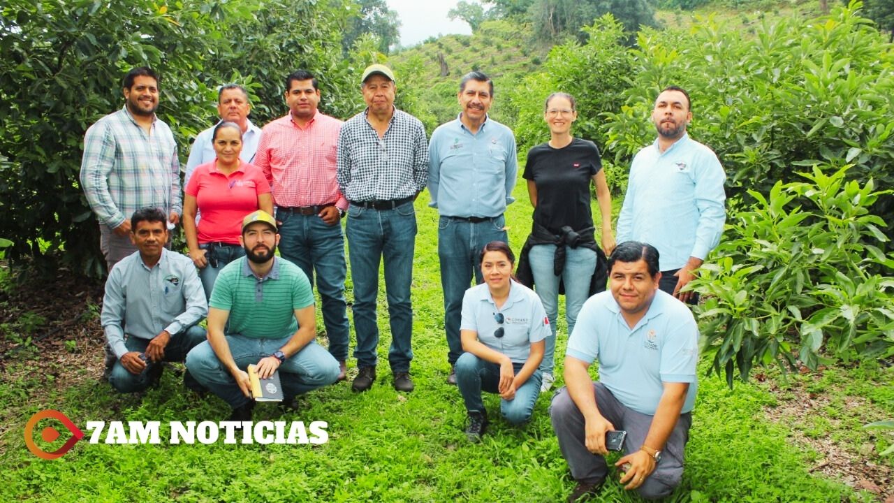 Comisión Nacional de Áreas Naturales Protegidas supervisa zona aguacatera al norte de Colima