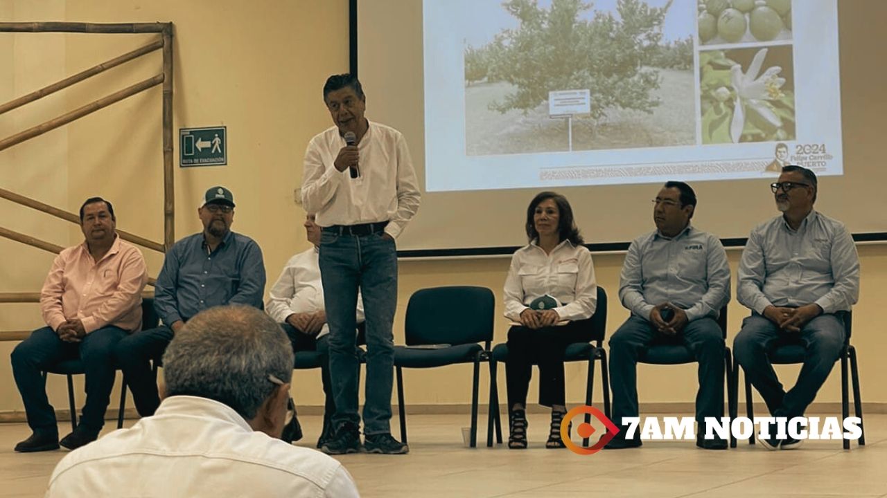 Inició en Colima el curso 'Manejo Integrado del Limón Mexicano con HLB'