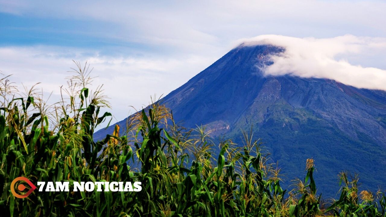 Imades Colima inaugura la exposición fotográfica ‘Milpa, saberes y vida’, en La Campana