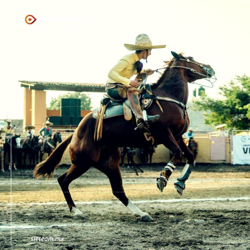 Iffecol invita al 7° Concurso Morfológico de Caballo Español en la Feria de Colima, este viernes y sábado