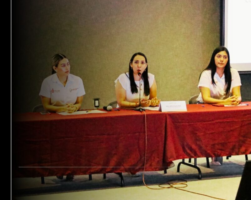 ICM presenta ante Consejo Directivo las Estrategias contra las Violencias 2025