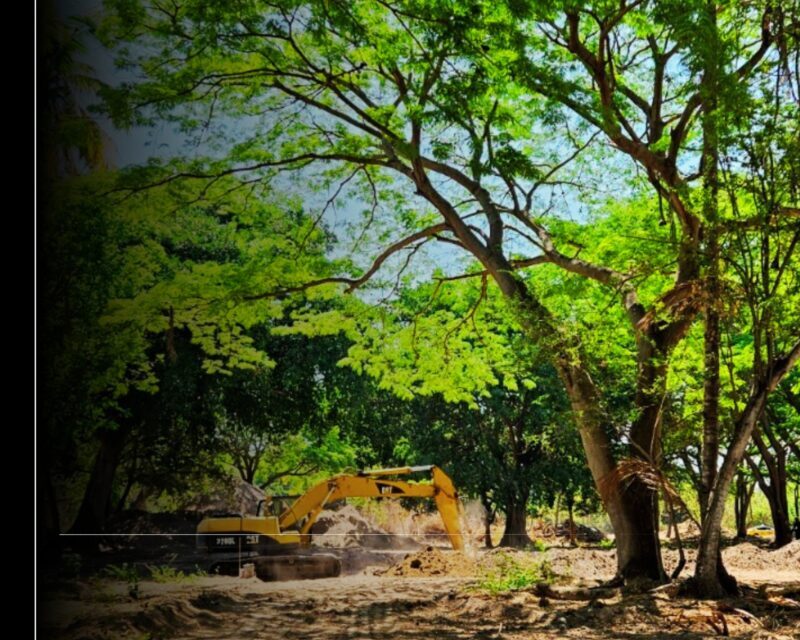 Imades clausura proyecto inmobiliario al sur de Colima por incumplimientos ambientales