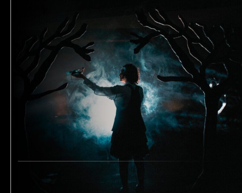 Cultura Colima presenta el programa oficial del 20° Festival de Monólogos