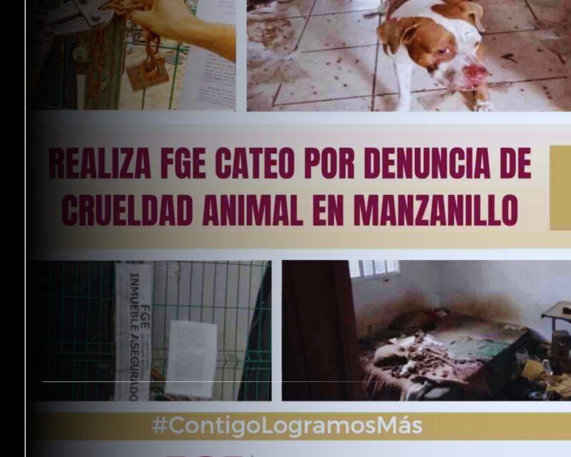 Realiza FGE cateo por denuncia de crueldad animal en Manzanillo
