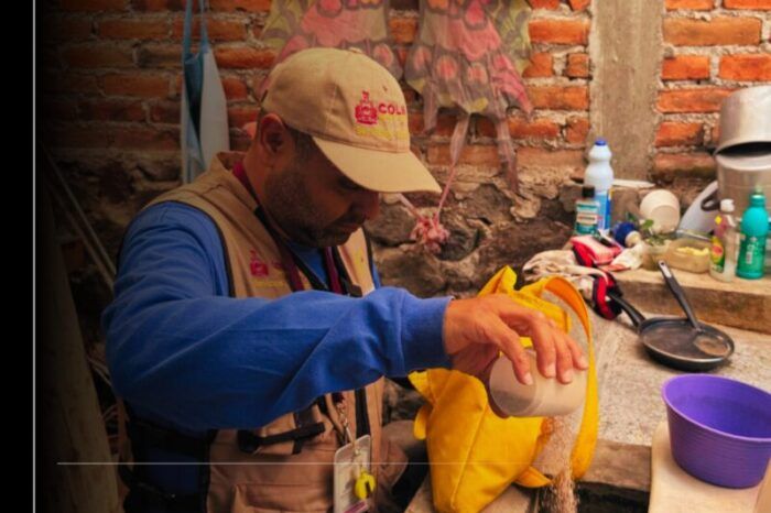 Salud Colima continúa con acciones permanentes contra el dengue