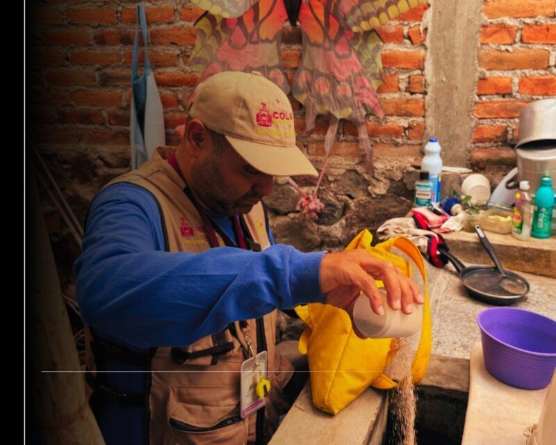 Salud Colima continúa con acciones permanentes contra el dengue