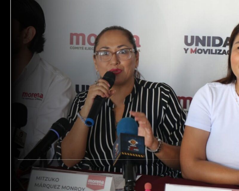 Reforzar presencia en territorio y mejorar la organización interna, tareas de Morena Colima