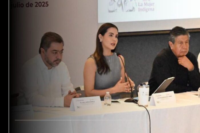 El crecimiento de Manzanillo debe ir de la mano del orden y el bienestar: Rosi Bayardo