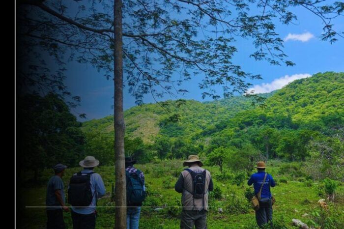 Imades y Conanp avanzan en el proyecto de nueva Área Natural Protegida en la Laguna de Cuyutlán