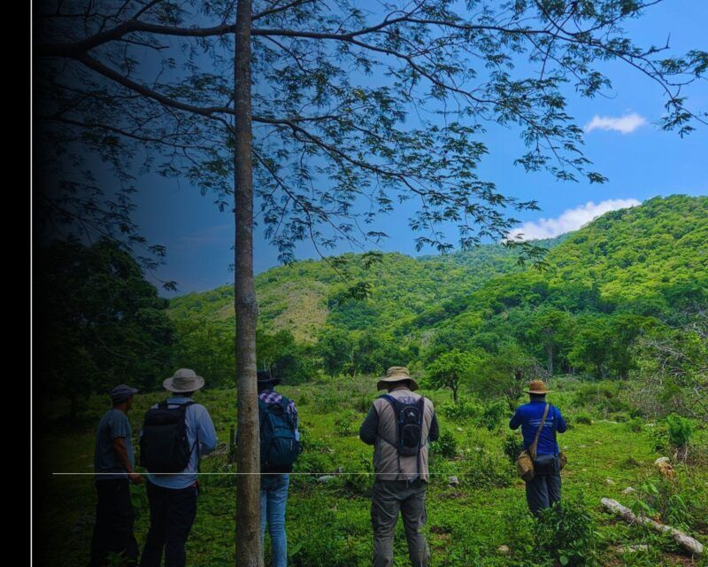 Imades y Conanp avanzan en el proyecto de nueva Área Natural Protegida en la Laguna de Cuyutlán