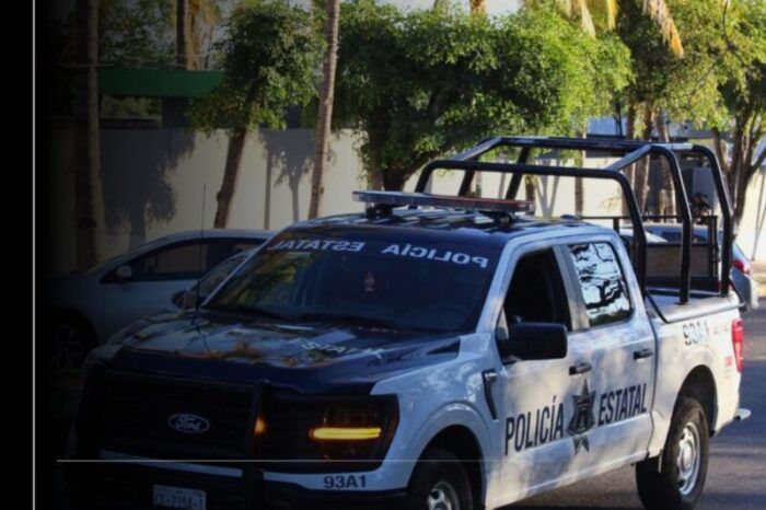 PEP y Semar detienen a 12 personas por diversos delitos en operativos coordinados: SSP Colima