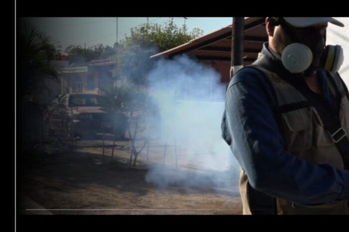 Salud Colima fumigará contra el mosco transmisor del dengue en zonas prioritarias de Colima, Manzanillo y Villa de Álvarez