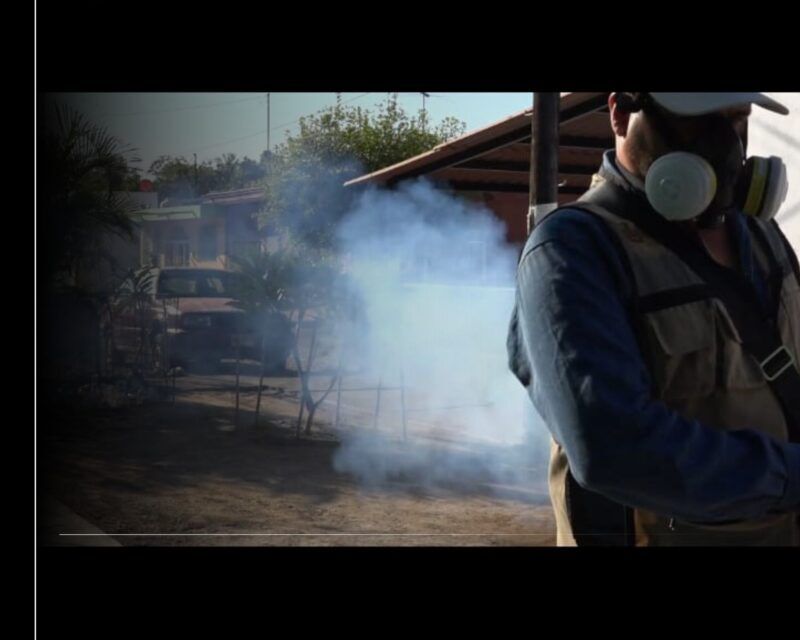 Salud Colima fumigará contra el mosco transmisor del dengue en zonas prioritarias de Colima, Manzanillo y Villa de Álvarez