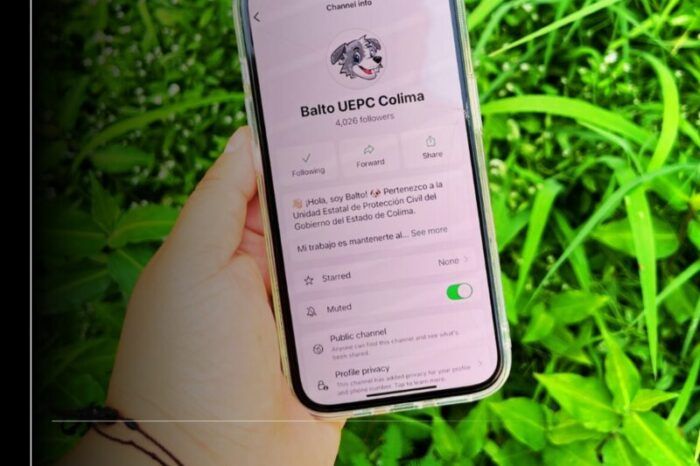 UEPC Colima comparte recomendaciones y alertas viales a través de su canal de difusión 'Balto'