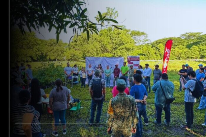 Conagua impulsa la reforestación de más de 1.3 km en las orillas del río Colima