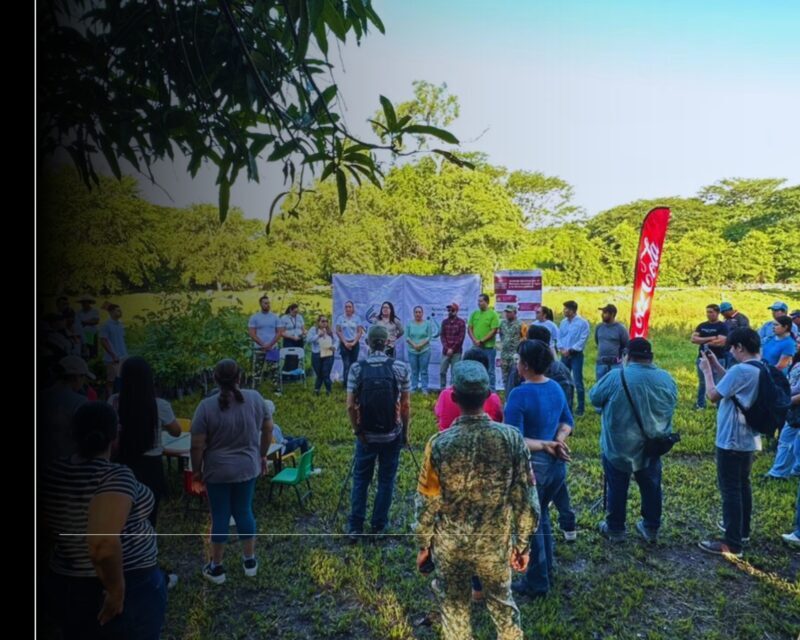 Conagua impulsa la reforestación de más de 1.3 km en las orillas del río Colima