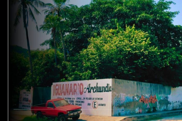 Rehabilitación del Mercado de Pescadores, Muelle de Pescadores e Iguanario; parte de las obras anunciadas por Rosi Bayardo