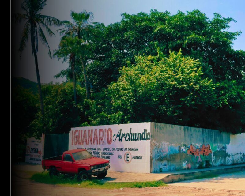 Rehabilitación del Mercado de Pescadores, Muelle de Pescadores e Iguanario; parte de las obras anunciadas por Rosi Bayardo
