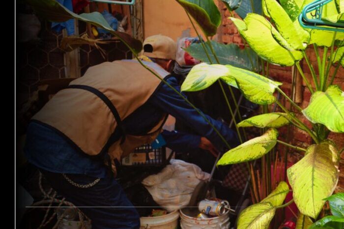 Salud Colima mantiene control del dengue, con operativo permanente de control larvario