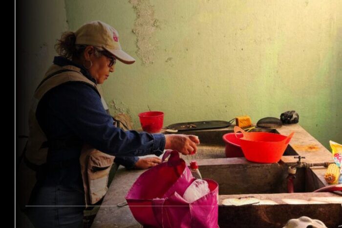 Salud Colima refuerza control larvario en colonias de municipios en riesgo de dengue