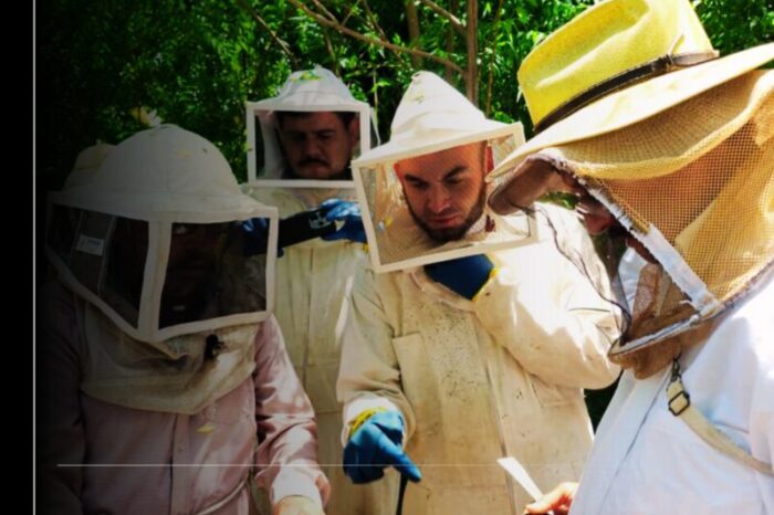 Diputado Alfredo Álvarez marca agenda nacional en protección de polinizadores; el Protocolo Nacional Forense sienta las bases para la protección de los polinizadores a nivel nacional