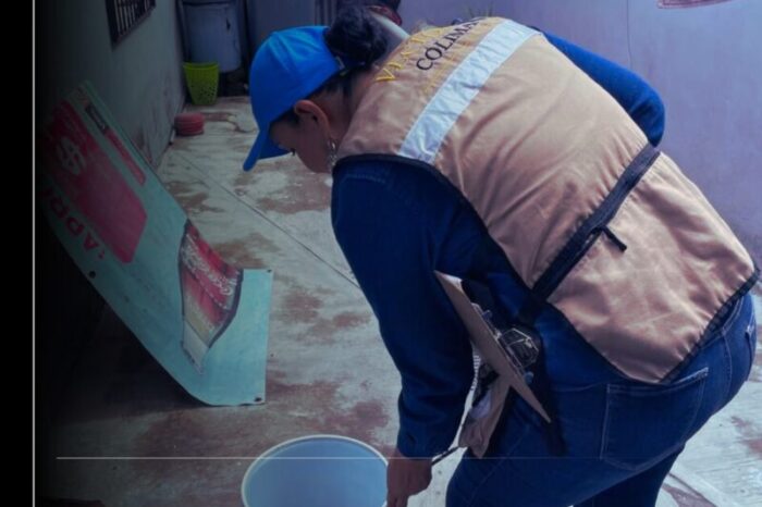 Mantiene Salud Colima control larvario contra el dengue