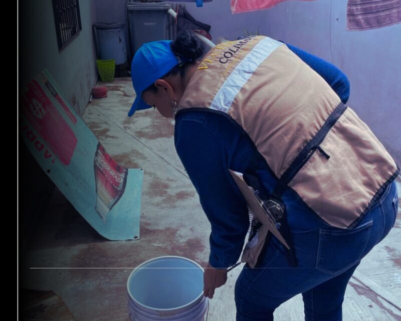 Mantiene Salud Colima control larvario contra el dengue